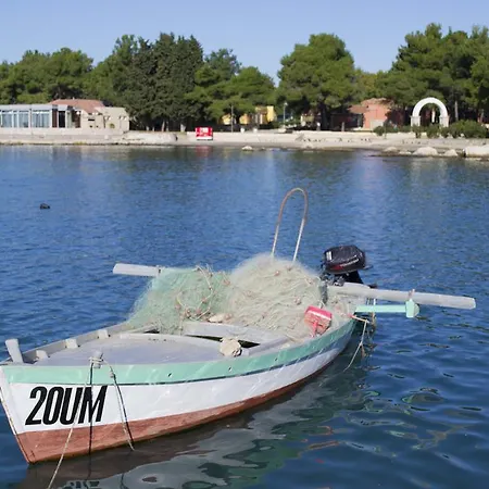 Morgan * Umag