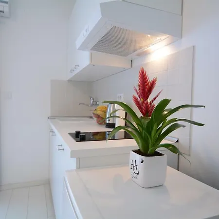 Apartment Morgan Umag