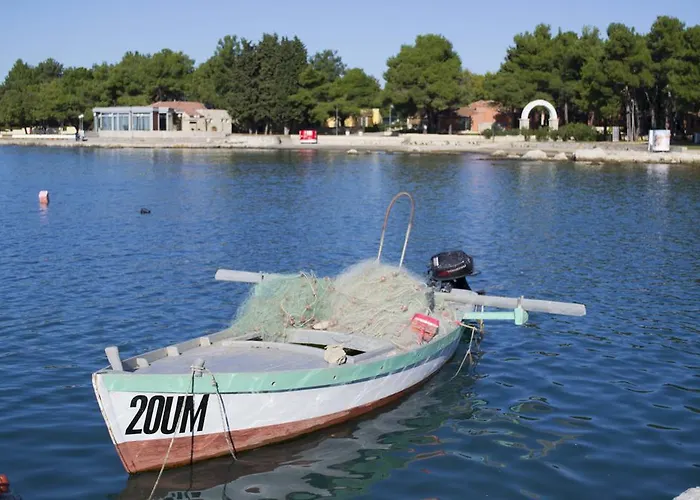 Morgan * Umag