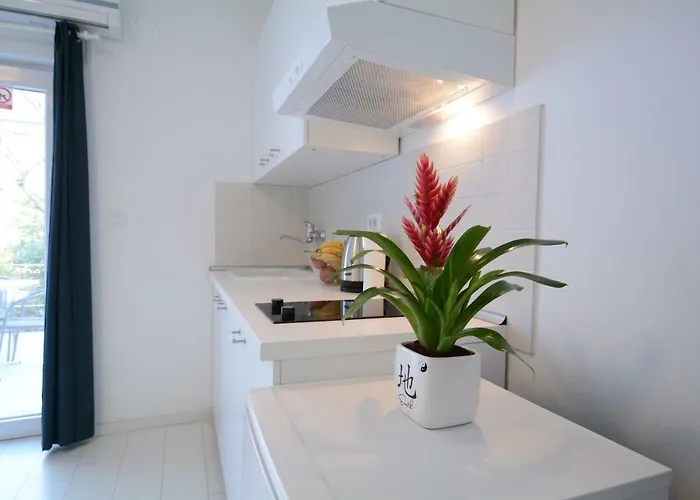 Apartman Morgan Umag