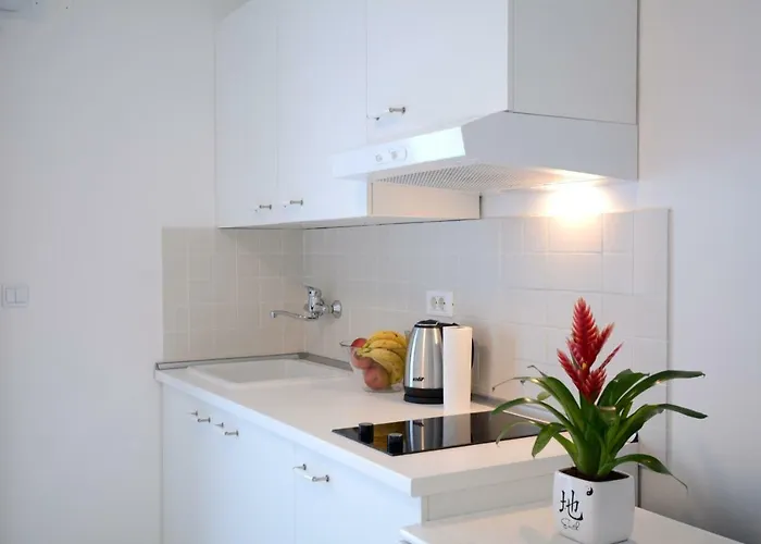 Apartman Morgan *